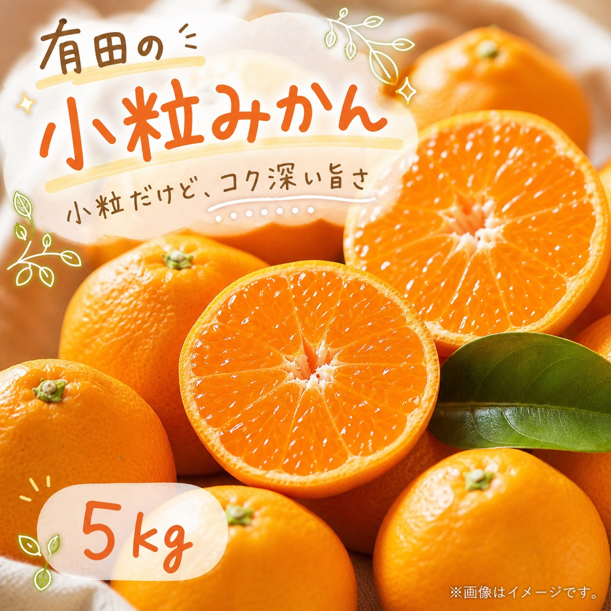 有田の小粒みかん&nbsp;約5kg&nbsp;(S～3Sサイズ混合)［2026年11月下旬以降発送］［先行予約］［UT134］