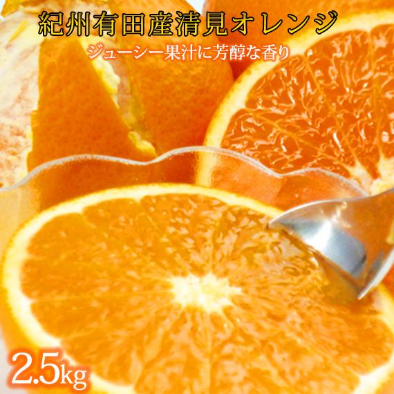 とにかくジューシー清見オレンジ 約2.5kg【2025年3月下旬以降発送】【先行予約】【UT131】