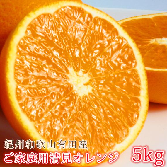 ［ご家庭用訳あり］紀州有田産清見オレンジ 約5kg［2026年3月下旬以降発送］［先行予約］［UT132］