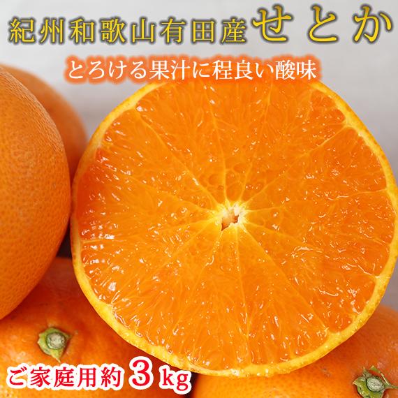 紀州有田産せとか&nbsp;約3kg&nbsp;［ご家庭用］とろける食感！ジューシー柑橘［2026年2月下旬以降発送］［先行予約］［UT133］