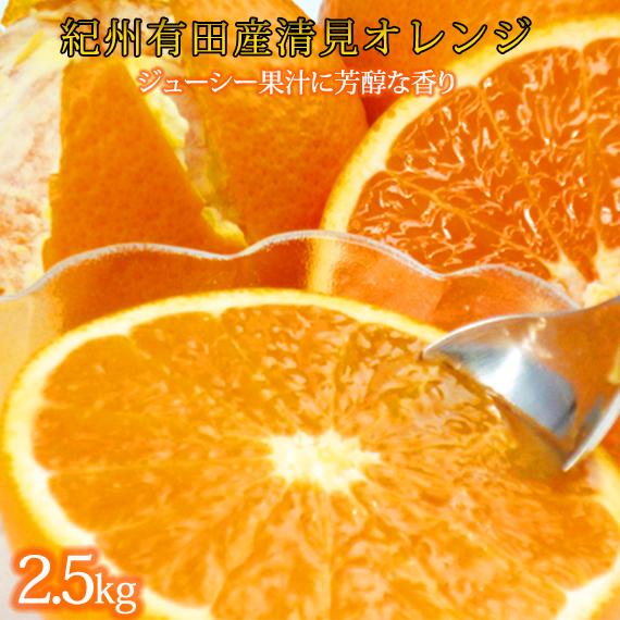 とにかくジューシー清見オレンジ 約2.5kg［2026年3月下旬以降発送］［先行予約］［UT131］
