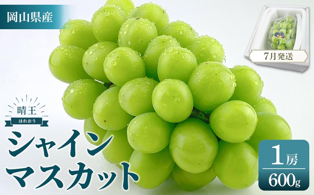 2026年予約受付中&nbsp;シャインマスカット&nbsp;晴王&nbsp;1房&nbsp;約600g&nbsp;7月～8月にお届け&nbsp;&nbsp;|&nbsp;フルーツ&nbsp;果物&nbsp;くだもの&nbsp;葡萄&nbsp;ブドウ&nbsp;ぶどう&nbsp;シャインマスカット&nbsp;マスカット&nbsp;晴王&nbsp;ギフト&nbsp;贈答用&nbsp;プレゼント&nbsp;岡山&nbsp;岡山県産&nbsp;国産&nbsp;フルーツ&nbsp;果物&nbsp;くだもの&nbsp;シャインマスカット&nbsp;マスカット&nbsp;おすすめ&nbsp;人気