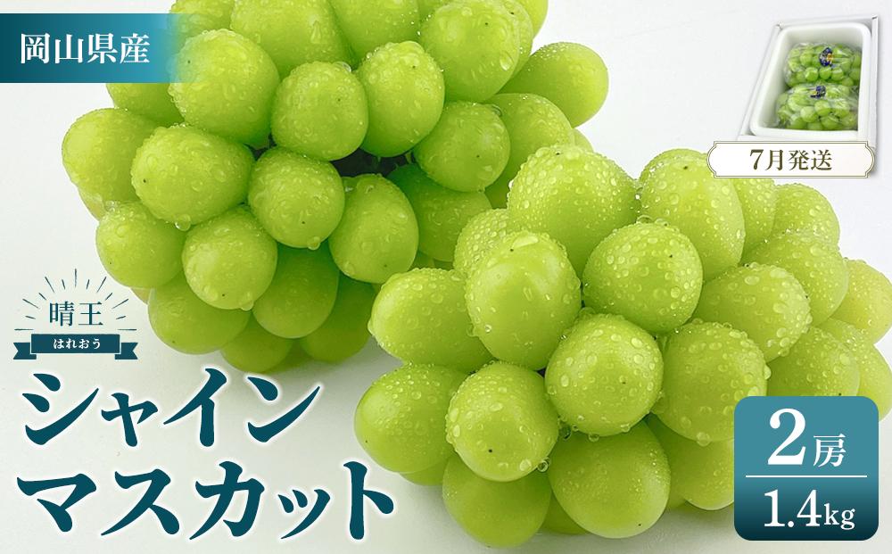 2026年予約受付中&nbsp;シャインマスカット&nbsp;晴王&nbsp;2房&nbsp;約1.4kg&nbsp;&nbsp;&nbsp;|&nbsp;フルーツ&nbsp;果物&nbsp;くだもの&nbsp;葡萄&nbsp;ブドウ&nbsp;ぶどう&nbsp;シャインマスカット&nbsp;マスカット&nbsp;晴王&nbsp;ギフト&nbsp;贈答用&nbsp;プレゼント&nbsp;岡山&nbsp;岡山県産&nbsp;国産&nbsp;フルーツ&nbsp;果物&nbsp;くだもの&nbsp;シャインマスカット&nbsp;マスカット&nbsp;おすすめ&nbsp;人気&nbsp;種無し&nbsp;皮ごと食べる&nbsp;みずみずしい7月～8月にお届け&nbsp;フレッシュ&nbsp;温室栽培&nbsp;晴れの国おかやま&nbsp;果物大国&nbsp;彩美菜果