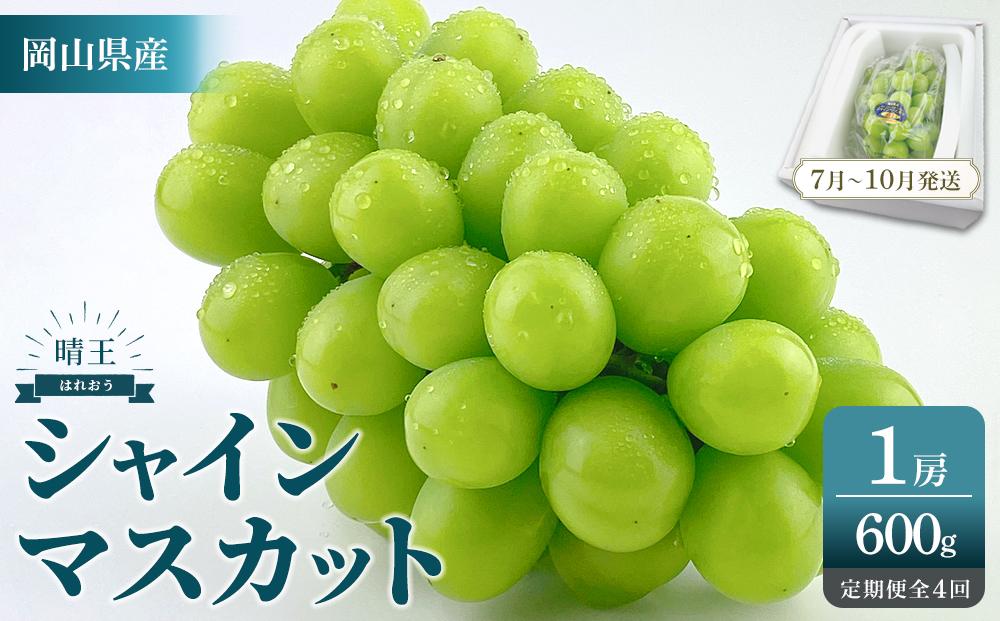 2026年予約受付中&nbsp;シャインマスカット&nbsp;晴王&nbsp;1房&nbsp;約600g&nbsp;4回&nbsp;定期便&nbsp;&nbsp;7月・8月・9月・10月に1回ずつお届け【シャインマスカット&nbsp;マスカット&nbsp;ぶどう&nbsp;葡萄&nbsp;岡山県産&nbsp;&nbsp;&nbsp;種無し&nbsp;皮ごと食べる&nbsp;みずみずしい&nbsp;フレッシュ&nbsp;温室栽培&nbsp;晴れの国おかやま&nbsp;果物大国&nbsp;彩美菜果&nbsp;岡山県&nbsp;岡山市&nbsp;おすすめ&nbsp;人気&nbsp;】