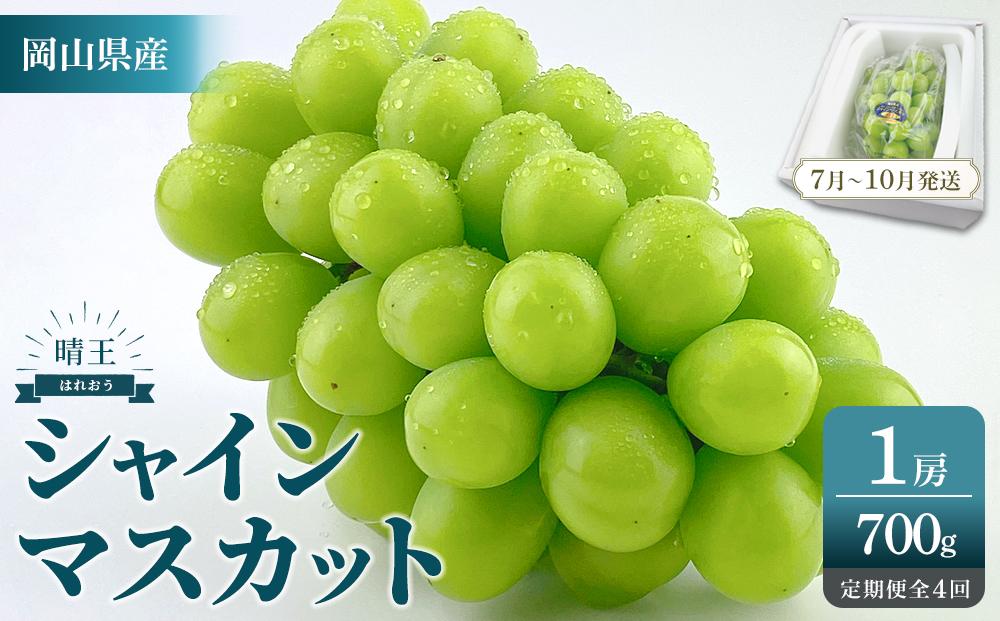 2026年予約受付中&nbsp;シャインマスカット&nbsp;晴王&nbsp;1房&nbsp;約700g&nbsp;4回&nbsp;定期便&nbsp;&nbsp;7月・8月・9月・10月に1回ずつお届け&nbsp;【シャインマスカット&nbsp;マスカット&nbsp;ぶどう&nbsp;葡萄&nbsp;岡山県産&nbsp;&nbsp;種無し&nbsp;皮ごと食べる&nbsp;みずみずしい&nbsp;フレッシュ&nbsp;温室栽培&nbsp;晴れの国おかやま&nbsp;果物大国&nbsp;彩美菜果&nbsp;岡山県&nbsp;岡山市&nbsp;おすすめ&nbsp;人気&nbsp;】