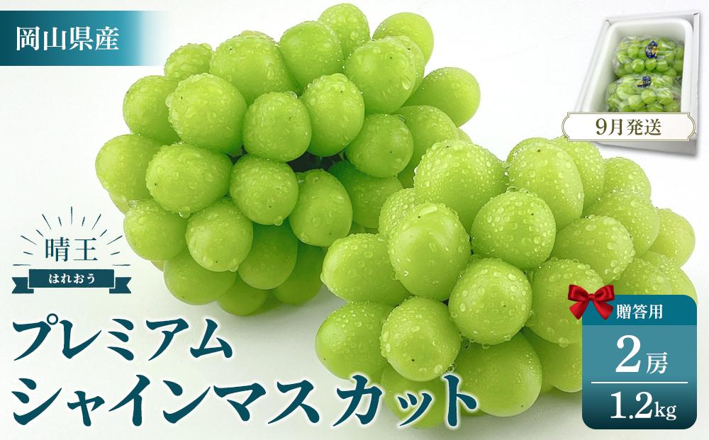2026年予約受付中&nbsp;&nbsp;プレミアム　シャインマスカット　晴王&nbsp;2房　約1.2kg　人気　岡山県産　赤秀品&nbsp;&nbsp;種無し　皮ごと食べる　みずみずしい　9月～10月お届け　フレッシュ　晴れの国　おかやま　果物大国　贈答品&nbsp;彩美菜果&nbsp;岡山県&nbsp;岡山市&nbsp;おすすめ&nbsp;人気
