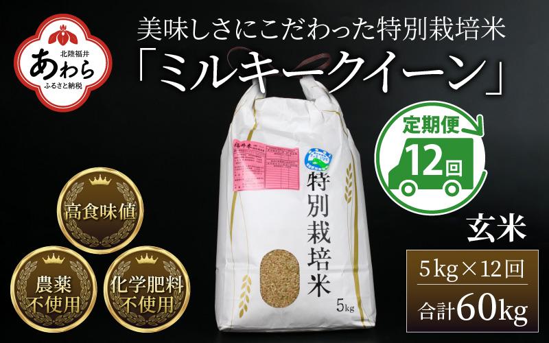 【先行予約】【令和7年産 新米】《定期便12回》 特別栽培米 ミルキークイーン 玄米  5kg （計60kg） 農薬不使用 化学肥料不使用 ／ 高品質 鮮度抜群 福井県産 ブランド米 あわら産 ブランド米 ※2025年10月上旬以降順次発送