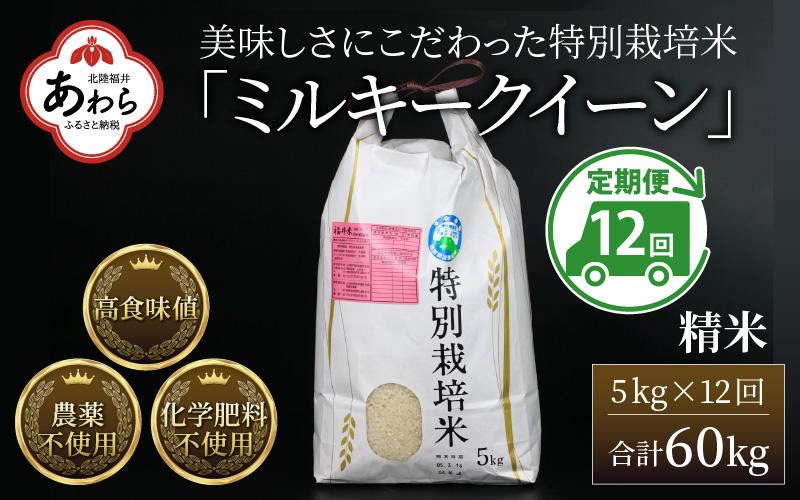 【先行予約】【令和7年産 新米】《定期便12回》 特別栽培米 ミルキークイーン 精米 5kg (計60kg)  農薬不使用 化学肥料不使用 ／ 高品質 鮮度抜群 福井県産 ブランド米 白米 あわら産 ブランド米 ※2025年10月上旬以降順次発送