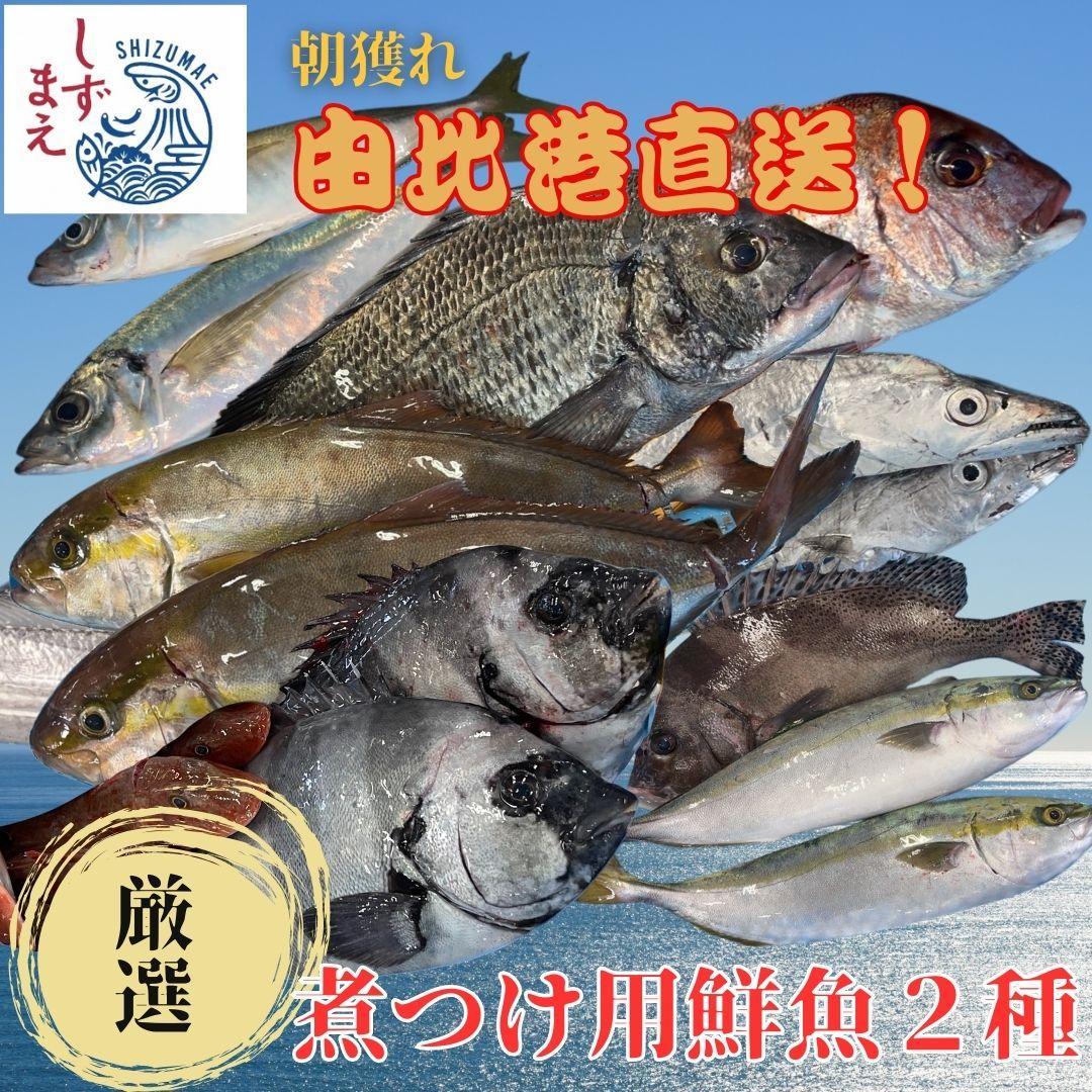 しずまえ！煮つけ用鮮魚ボックス(厳選２種入り)