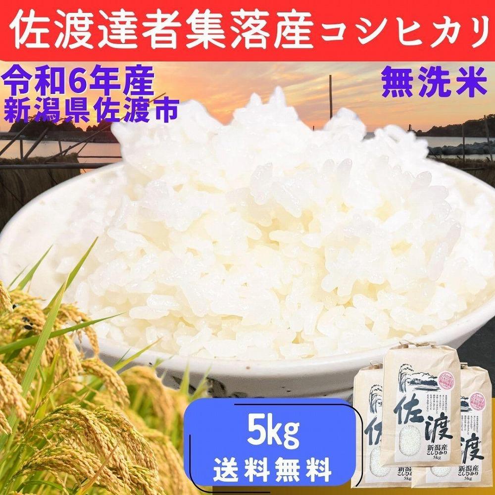 ＜数量限定＞【令和6年産】佐渡達者集落産コシヒカリ　精米【無洗米】５kg　送料無料