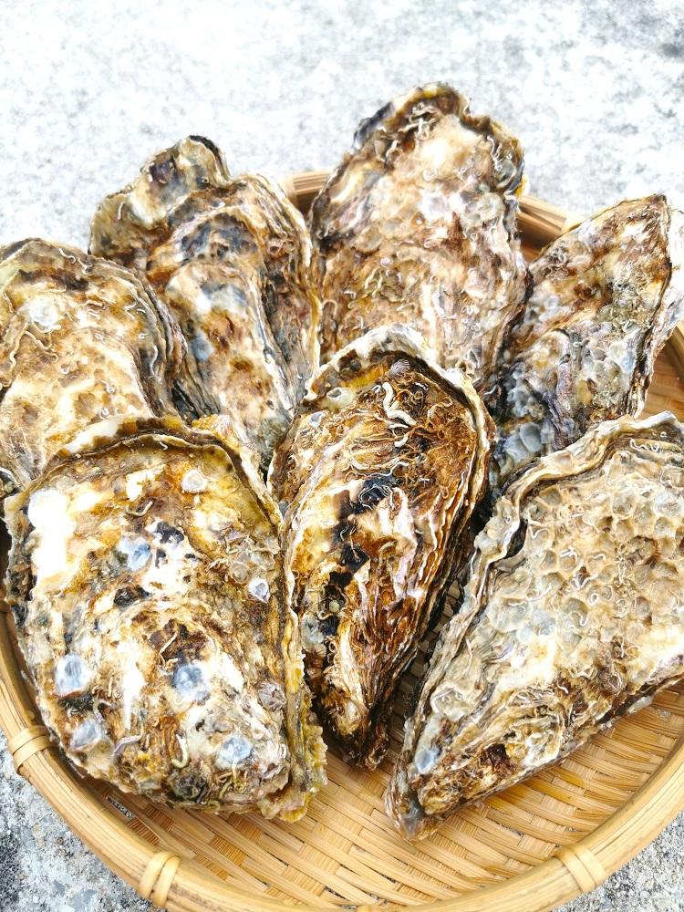 広島県産 宮島牡蠣 1.5kg（500ｇ×3袋）