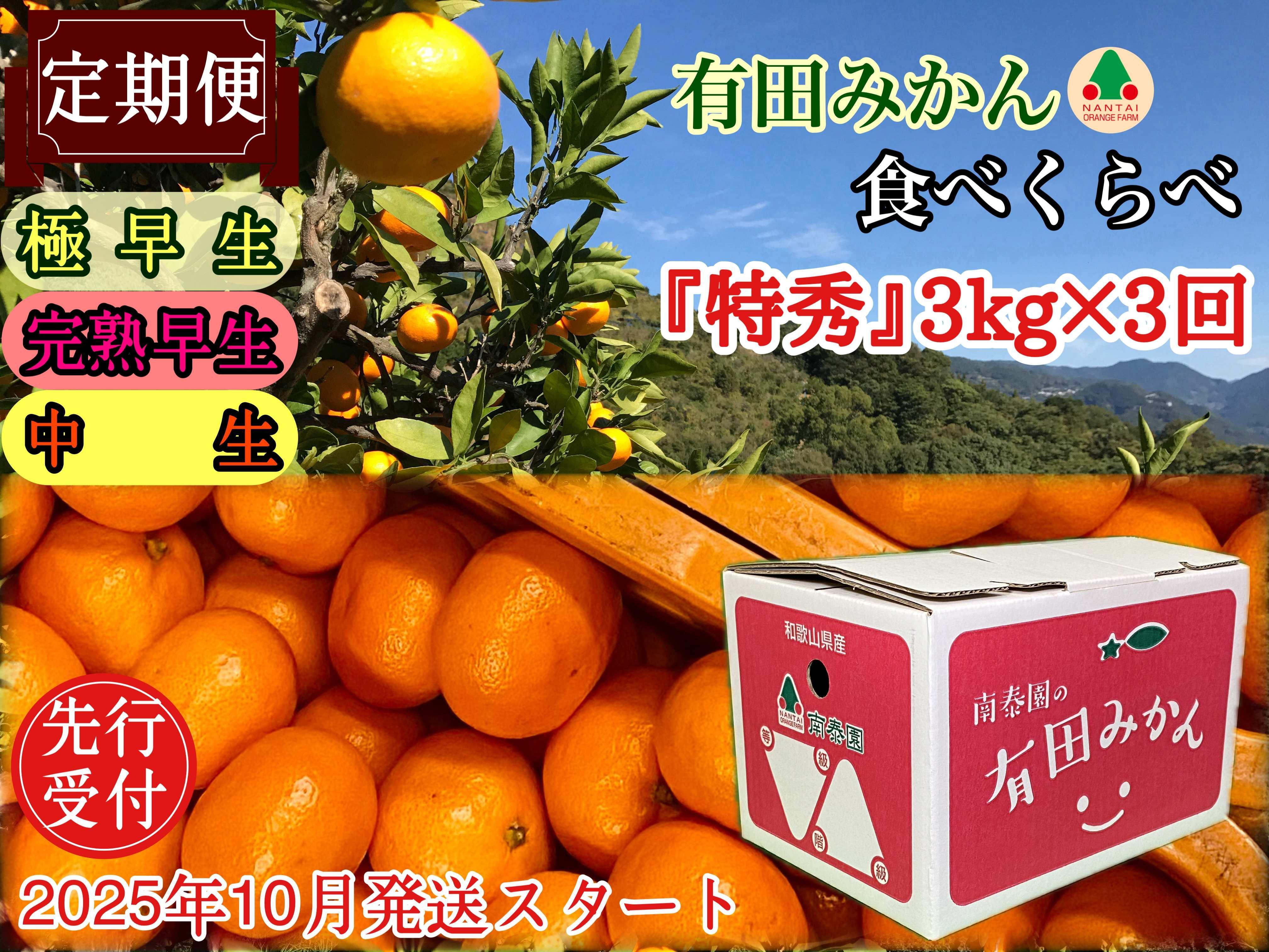 定期便 先行受付 2025年 10月発送スタート 有田みかん 食べくらべ 3種 特秀 各 3kg コース 全3回 南泰園