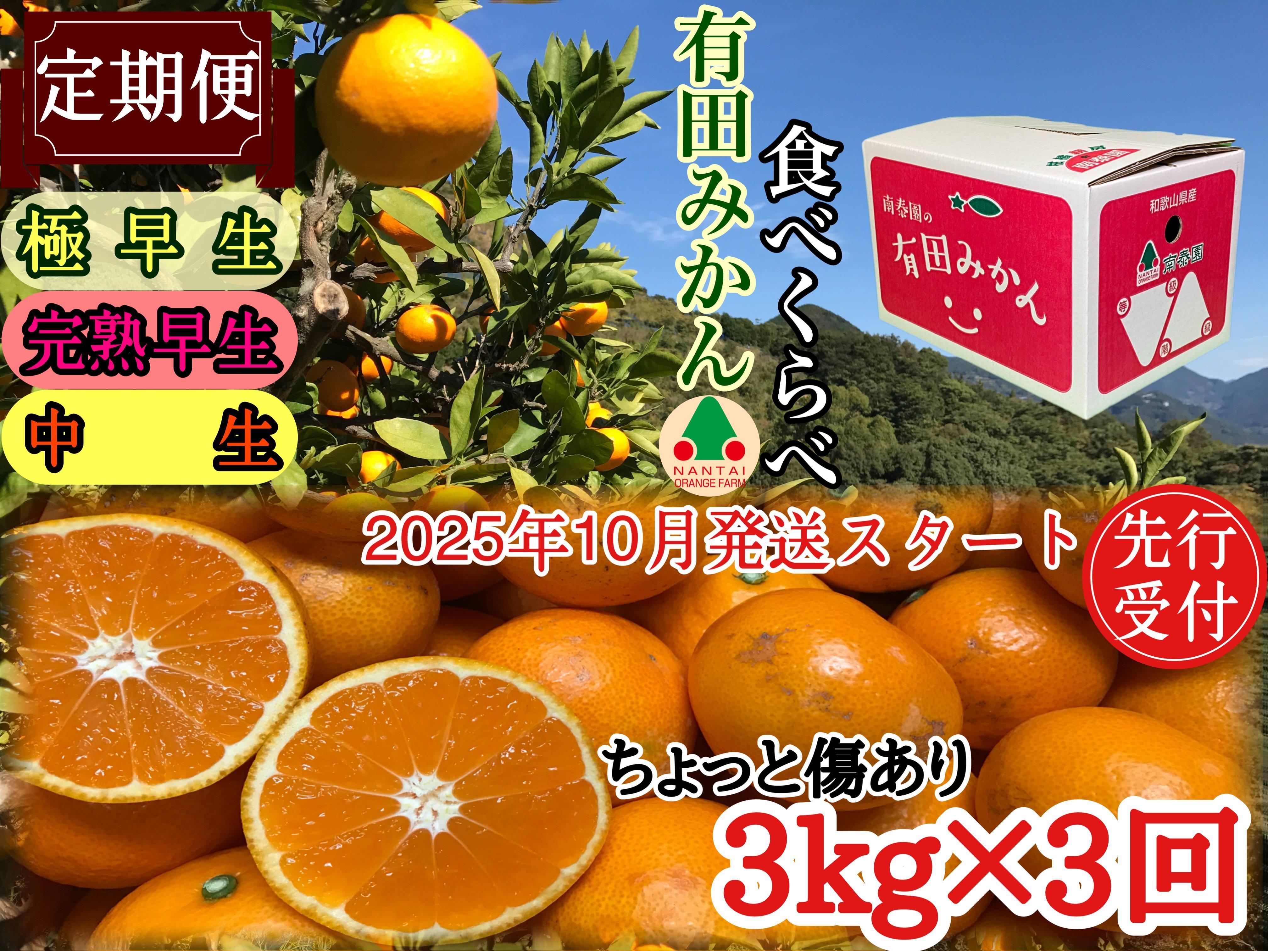 定期便 先行受付2025年 10月発送スタート ちょっと 傷あり 3kg × 3回 コース 有田みかん 食べくらべ 3種 南泰園