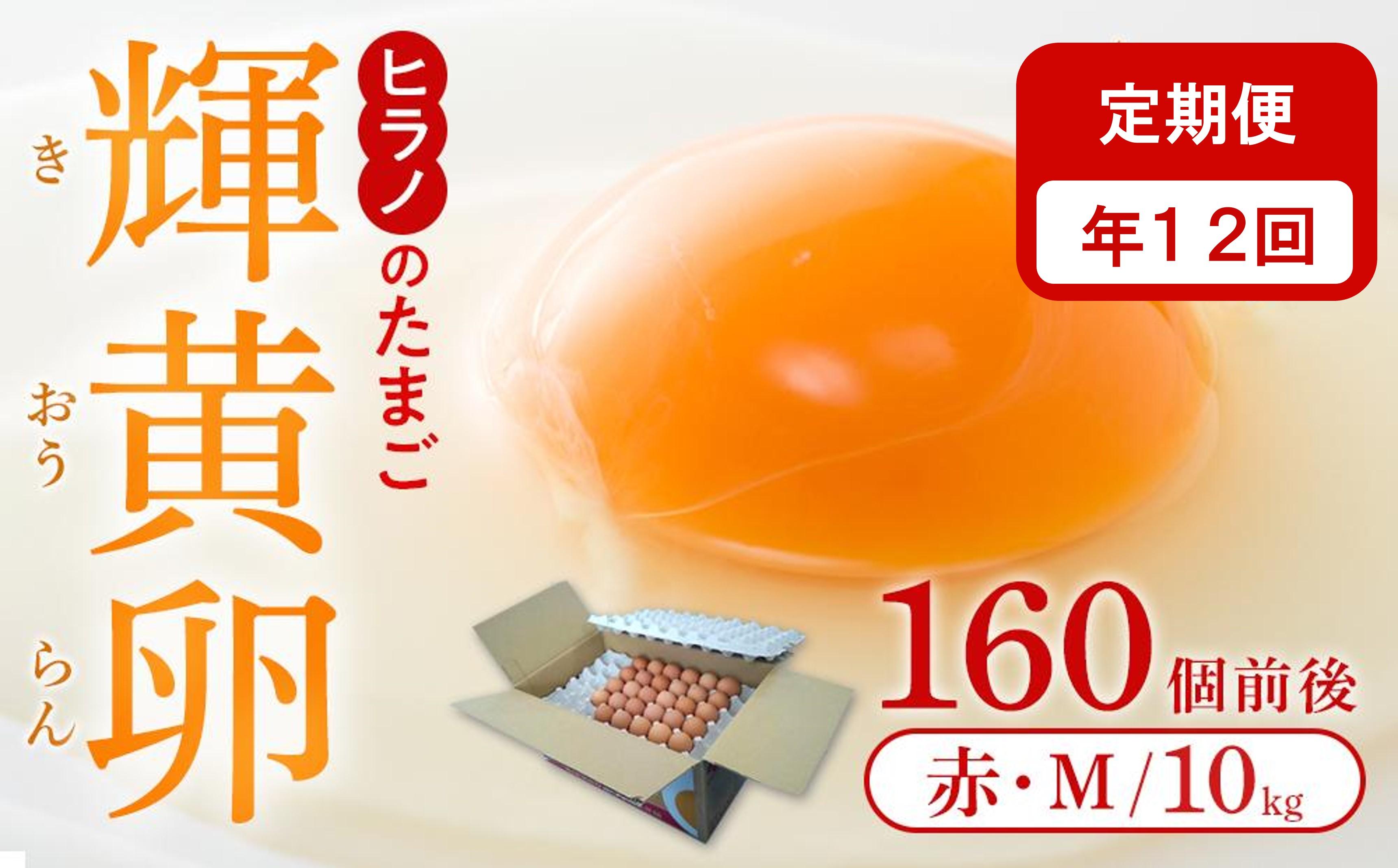 【定期便12回】ヒラノのたまご【輝黄卵(きおうらん)】赤Mサイズ10kg(160個前後)【卵 たまご タマゴ  国産 新鮮 直送 朝ごはん 卵かけごはん AJ009】