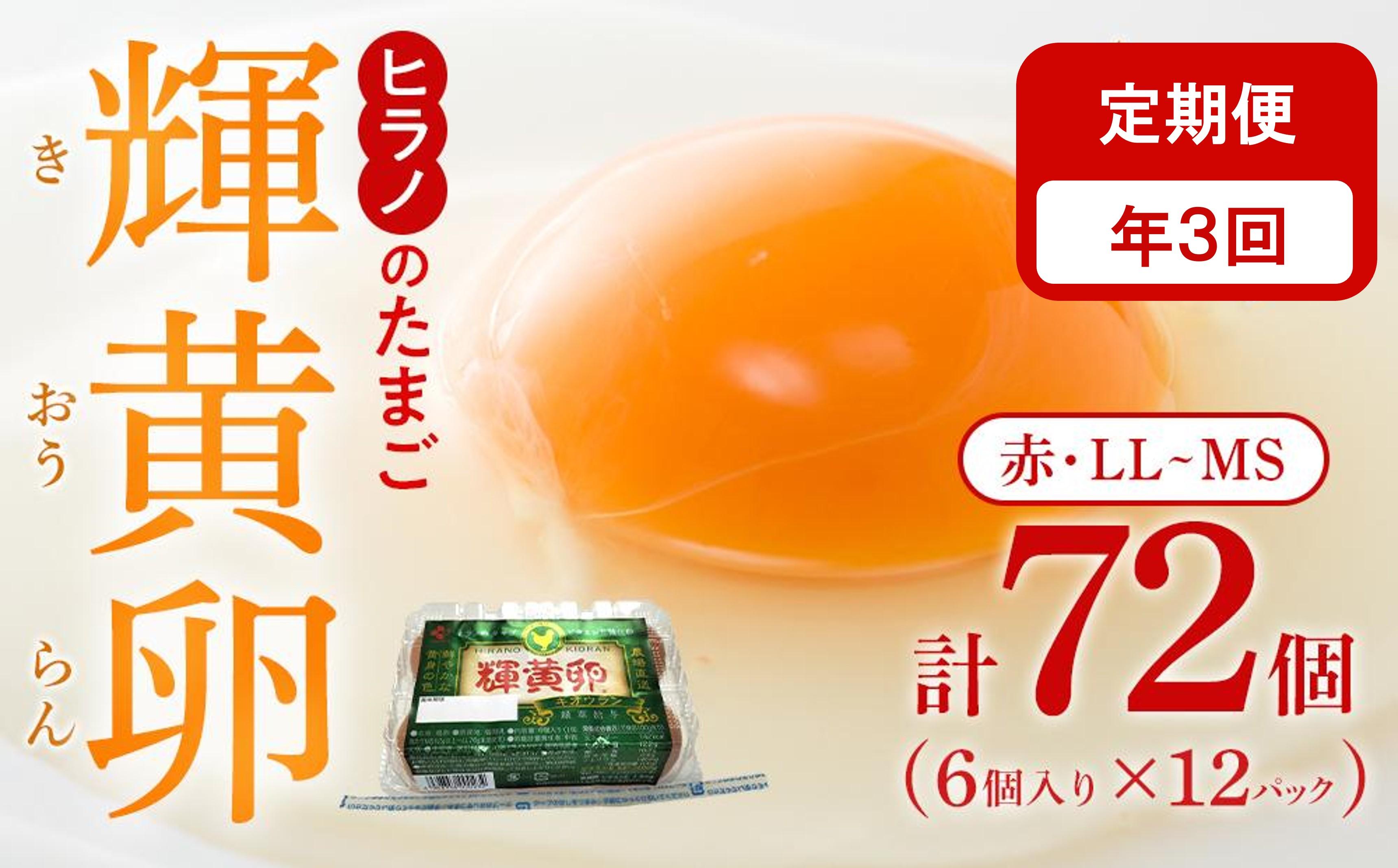 【定期便3回】輝黄卵（きおうらん）72個（6個入り×12パック）【卵 たまご タマゴ  国産 新鮮 直送 朝ごはん 卵かけごはん AJ010】