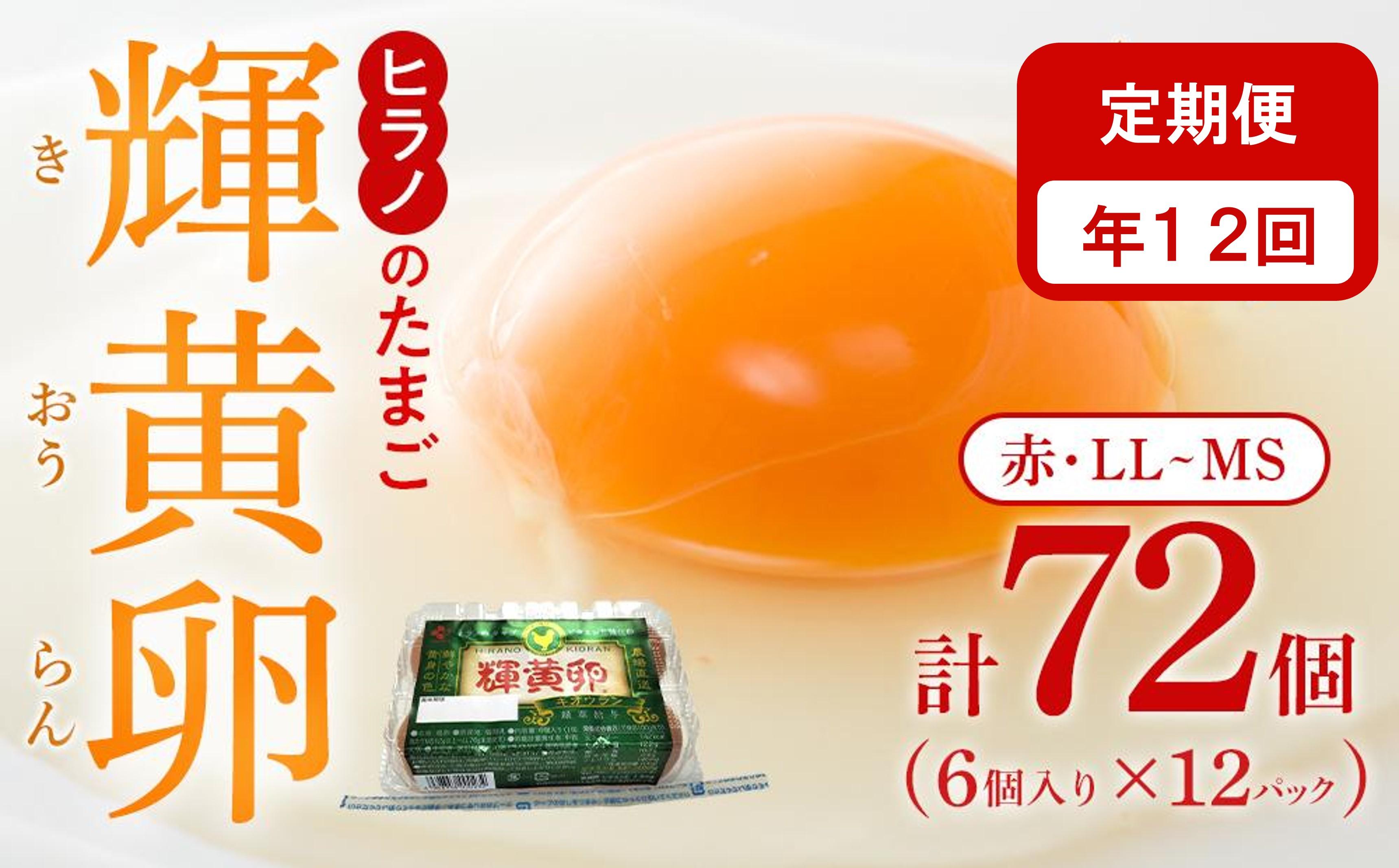 【定期便12回】輝黄卵（きおうらん）72個（6個入り×12パック）【卵 たまご タマゴ  国産 新鮮 直送 朝ごはん 卵かけごはん AJ012】