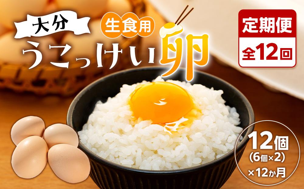 【定期便 全12回】大分うこっけい卵　生食用12個（6個×2パック）＜お試しサイズ／使い切りにぴったり！＞