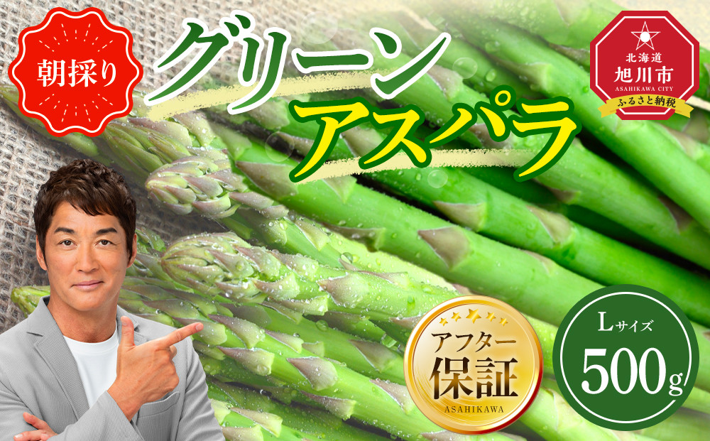 【先行予約】朝採り グリーンアスパラ L 500g (2026年5月下旬発送開始) 【 アスパラ アスパラガス グリーンアスパラ 【先行予約】朝採り 直送 産地直送 旬 春 北海道 とれたて お取り寄せ 冷蔵配送 冷蔵 旭川市 】 _04657