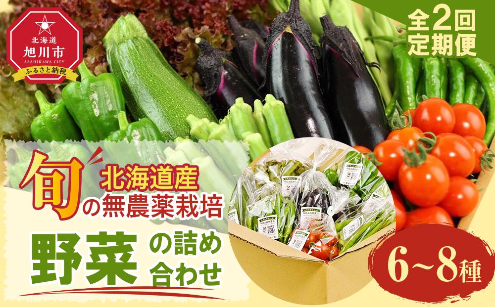 7・8月　計2回定期便　北海道産旬の無農薬栽培　野菜の詰め合わせ6～8種類 【 サニーレタス 水菜 チンゲンサイ さやえんどう スナップエンドウ さやいんげん ささぎ豆 春大根 ズッキーニ なす トマト きゅうり ししとう なんばん オクラ カボチャ じゃがいも にんじん 北海道産 無農薬栽培 野菜セット 季節の野菜 新鮮 お取り寄せ 野菜ボックス 安全 安心 野菜直送 人気 旭川市 】_04700