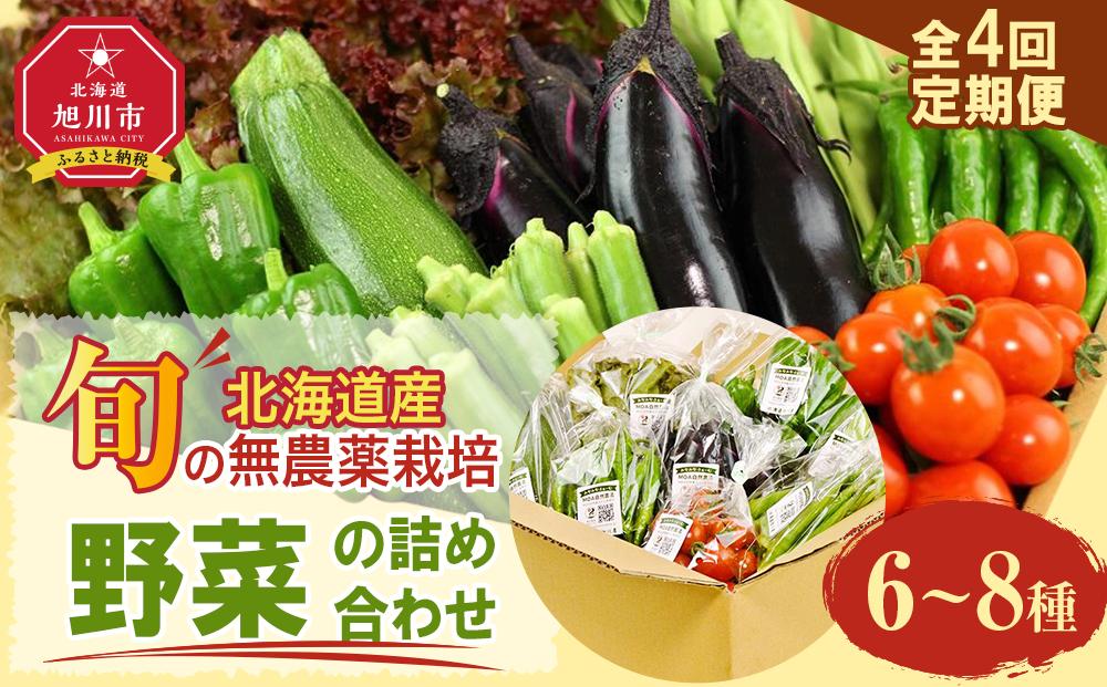 7・8・9・10月　計4回定期便　北海道産旬の無農薬栽培　野菜の詰め合わせ6～8種類 【 サニーレタス 水菜 チンゲンサイ さやえんどう スナップエンドウ さやいんげん ささぎ豆 春大根 ズッキーニ なす トマト きゅうり ししとう なんばん オクラ カボチャ じゃがいも にんじん 北海道産 無農薬栽培 野菜セット 季節の野菜 新鮮 お取り寄せ 野菜ボックス 安全 安心 野菜直送 人気 旭川市 】_04702