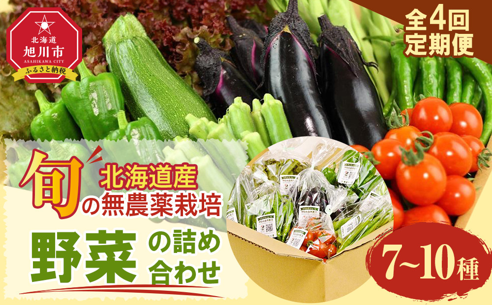 【2026年先行予約】7・8・9・10月　計4回定期便　北海道産旬の無農薬栽培　野菜の詰め合わせ7～10種類&nbsp;【&nbsp;サニーレタス&nbsp;水菜&nbsp;チンゲンサイ&nbsp;さやえんどう&nbsp;スナップエンドウ&nbsp;さやいんげん&nbsp;ささぎ豆&nbsp;春大根&nbsp;ズッキーニ&nbsp;なす&nbsp;トマト&nbsp;きゅうり&nbsp;ししとう&nbsp;なんばん&nbsp;オクラ&nbsp;カボチャ&nbsp;じゃがいも&nbsp;にんじん&nbsp;北海道産&nbsp;無農薬栽培&nbsp;野菜セット&nbsp;季節の野菜&nbsp;新鮮&nbsp;お取り寄せ&nbsp;野菜ボックス&nbsp;安全&nbsp;安心&nbsp;野菜直送&nbsp;人気&nbsp;旭川市&nbsp;】_04702