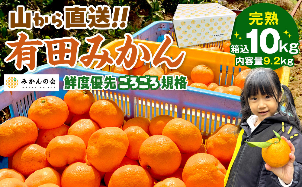 【年末発送指定】【12月25日～12月29日配送】みかん 山から直送 箱込 10kg ( 内容量約 9.2kg ) 鮮度優先ごろごろ規格 和歌山県産 産地直送 家庭用【みかんの会】