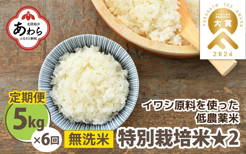 【先行予約】【令和7年産 新米】 《定期便6回》特別栽培米 コシヒカリ 5kg × 6回 （計30kg） 無洗米 低農薬 / 北陸 福井県産 あわら市 ブランド米 白米 お米 コメ 特栽米 ※2025年9月下旬以降順次発送