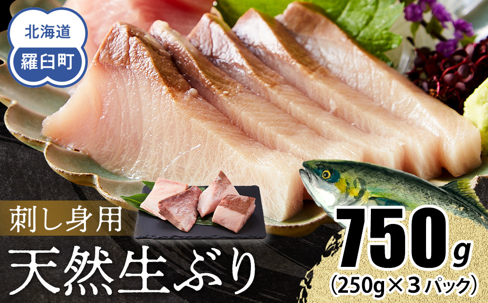 【2026年2月発送】北海道 知床羅臼産 天然ぶり刺身 750g（250g ×3パック） 魚 海産物 魚介 魚介類 ブリ 鰤 刺身 ご飯のお供 冷凍 生産者 支援 応援