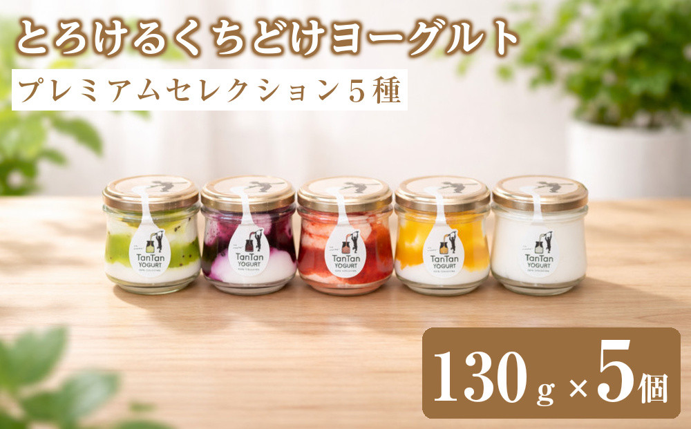 新食感&nbsp;とろけるくちどけヨーグルト&nbsp;プレミアムセレクション５種（プレーン・ストロベリー・ブルーベリー・マンゴー・キウイ）130ｇ×各1個　計5個