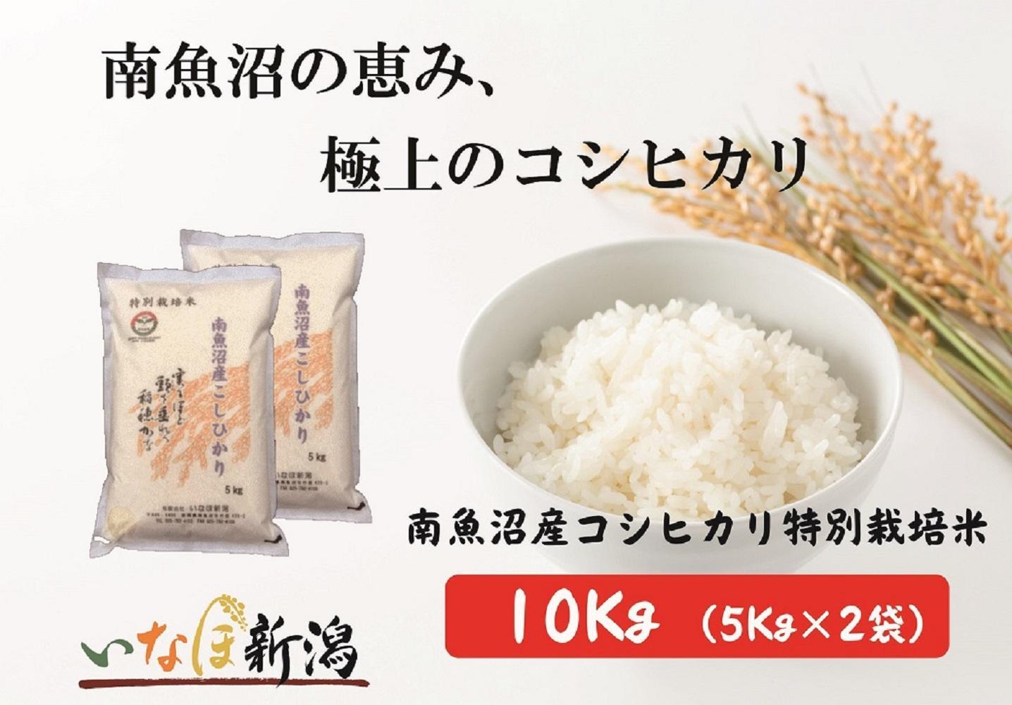 令和6年産 南魚沼産コシヒカリ特別栽培米10Kg (5Kg×2袋) | JTBのふるさと納税サイト [ふるぽ]