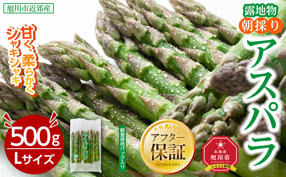 【2026年先行予約】露地物朝採りアスパラ　鮮度保持フィルム入り　Lサイズ　500g×1(5月中旬発送開始予定)【&nbsp;アスパラ&nbsp;アスパラガス&nbsp;朝採り&nbsp;とれたて&nbsp;野菜&nbsp;旬&nbsp;小分け&nbsp;保存&nbsp;産直&nbsp;産地直送&nbsp;お取り寄せ&nbsp;旭川市&nbsp;北海道&nbsp;】_04750