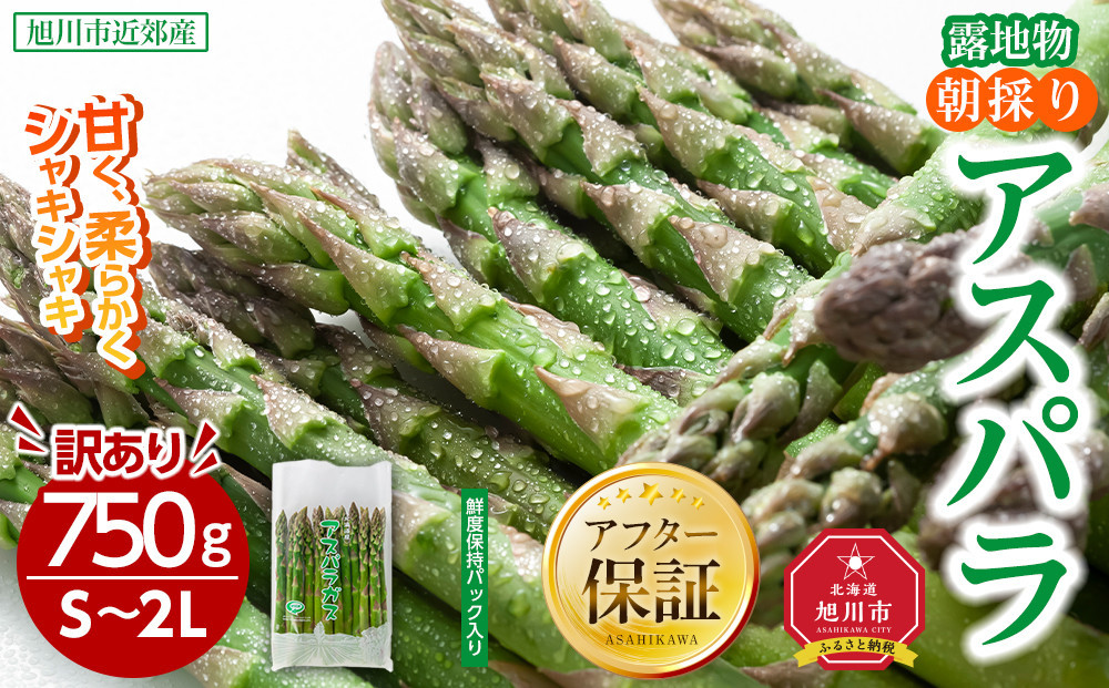 ◆2026年先行予約◆【訳あり】露地物朝採りアスパラ&nbsp;750g×1&nbsp;　鮮度保持フィルム入り(5月中旬発送開始予定)&nbsp;【&nbsp;アスパラ&nbsp;アスパラガス&nbsp;朝採り&nbsp;とれたて&nbsp;野菜&nbsp;旬&nbsp;小分け&nbsp;保存&nbsp;産直&nbsp;産地直送&nbsp;お取り寄せ&nbsp;旭川市&nbsp;北海道&nbsp;】_04751
