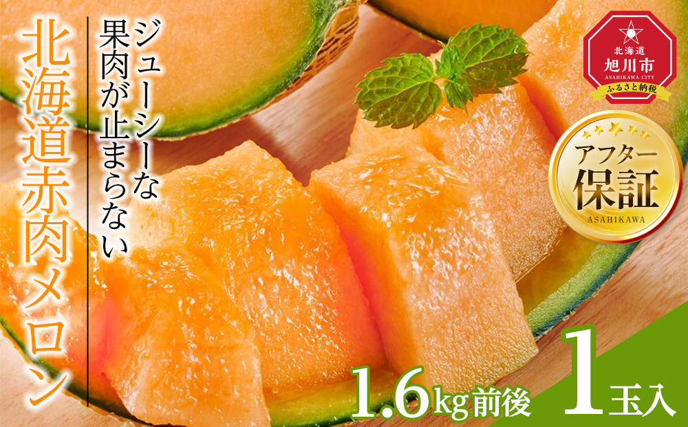 【26年発送先行予約】北海道産赤肉メロン　1玉入り　1.6kg前後（2026年7月中旬から発送開始予定）&nbsp;【&nbsp;果物&nbsp;くだもの&nbsp;フルーツ&nbsp;メロン&nbsp;赤肉&nbsp;赤肉メロン&nbsp;旬&nbsp;お取り寄せ&nbsp;甘い&nbsp;北海道産&nbsp;旭川市&nbsp;北海道&nbsp;】_04752