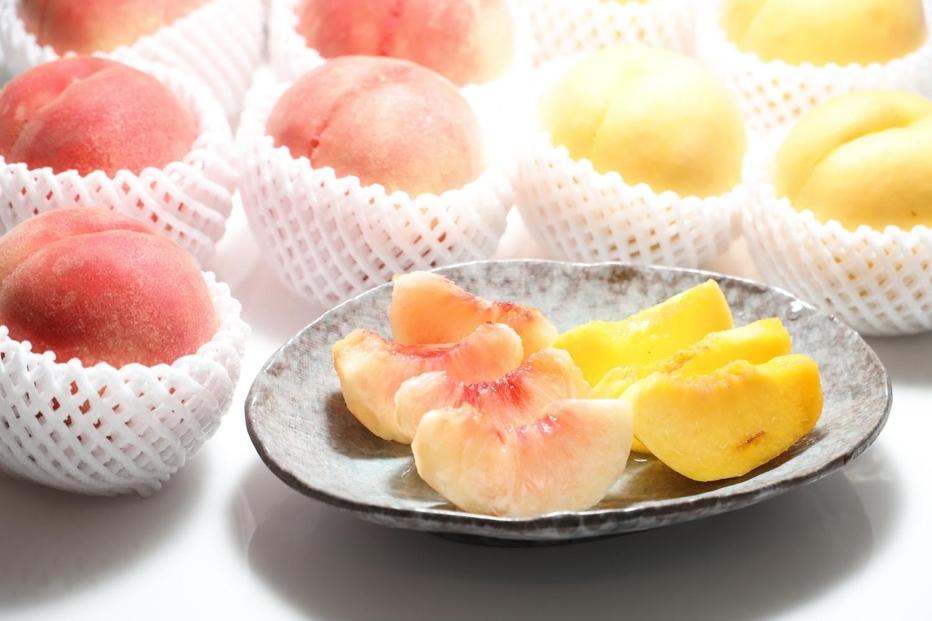 【2025年発送】どちらも食べたい！「白桃と黄桃の食べ比べセット　約２kg（4～10玉）」