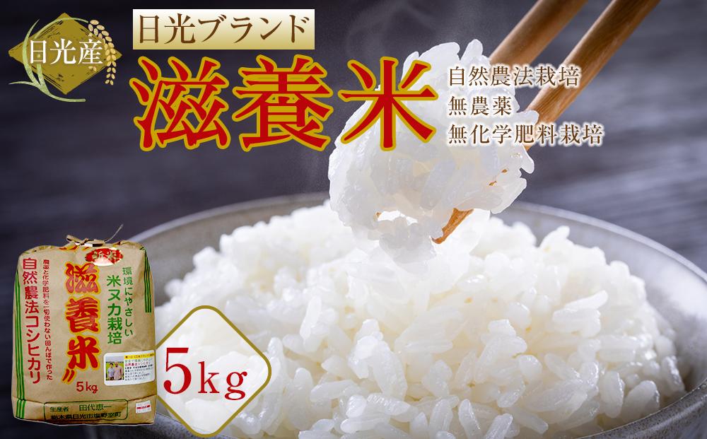 令和7年産&nbsp;日光産&nbsp;滋養米　5Kg&nbsp;|&nbsp;日光ブランド&nbsp;お米&nbsp;ごはん&nbsp;自然農法&nbsp;無農薬&nbsp;無化学肥料栽培&nbsp;コシヒカリ&nbsp;産地直送&nbsp;産直