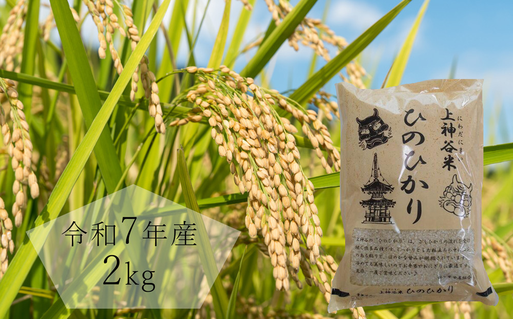 令和7年度産　上神谷米（にわだにまい）ひのひかり 2kg