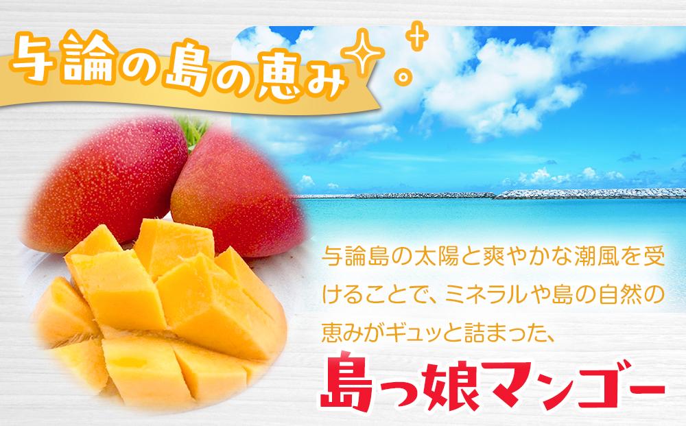 与論島産 島っ娘マンゴー（秀品）4kg 10～14玉入り 糖度13度以上【先行