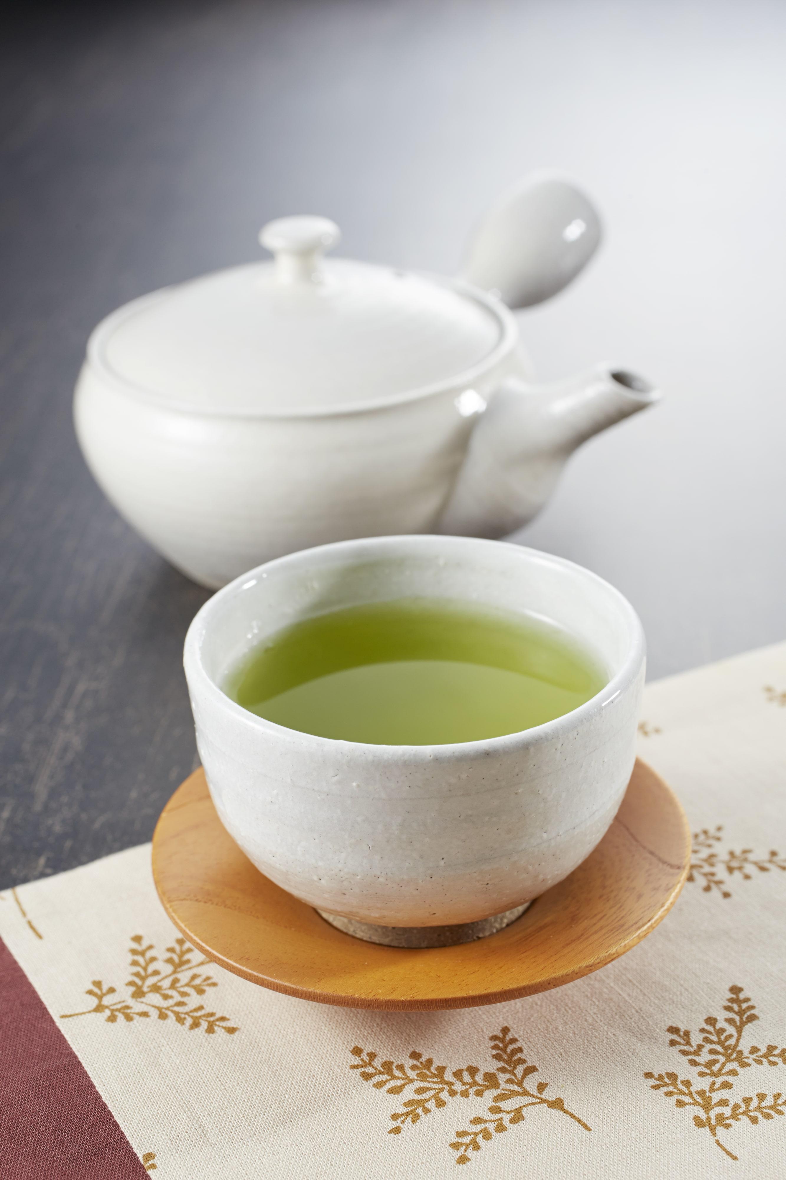 【博多大丸おすすめ品】福岡八女茶75g×6本セット