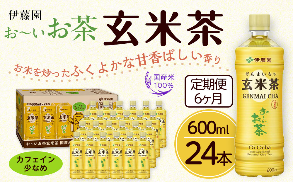 【定期便6ヶ月】お～いお茶玄米茶600ml×24本　［おーいお茶 ペットボトル ケース 箱 伊藤園 静岡］