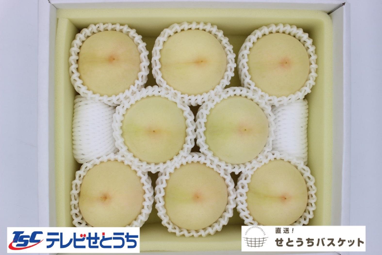 【2025年発送】岡山白桃・晩生（ご家庭用）約１．９ｋｇ（６～９玉入り）