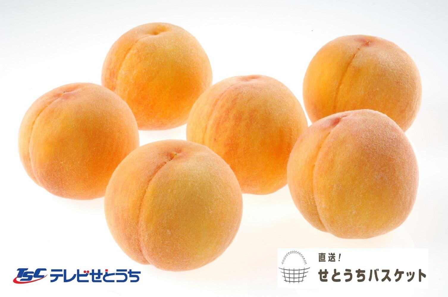 【2025年発送】黄金桃（ご家庭用）約１．９ｋｇ（６～９玉入り）