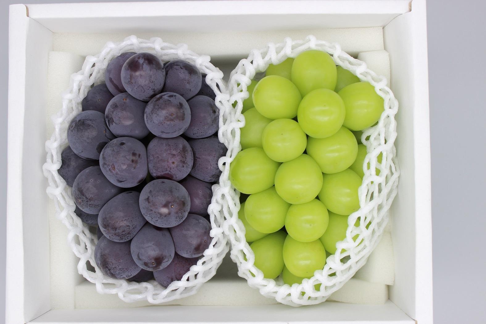 シャインマスカット＆ニューピオーネ　計約1.2kg(各１房）【2026年発送】&nbsp;|&nbsp;フルーツ&nbsp;果物&nbsp;くだもの&nbsp;ぶどう&nbsp;ブドウ&nbsp;シャインマスカット&nbsp;ニューピオーネ&nbsp;国産&nbsp;岡山県産&nbsp;食品&nbsp;人気&nbsp;おすすめ&nbsp;&nbsp;送料無料&nbsp;ギフト&nbsp;贈り物&nbsp;贈答品&nbsp;プレゼント&nbsp;ぶどう&nbsp;ブドウ&nbsp;シャインマスカット&nbsp;ニューピオーネ