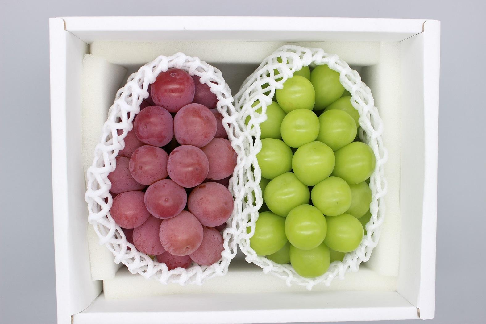 シャインマスカット＆クイーンニーナ　計約1.2kg(各１房）【2026年発送】&nbsp;|&nbsp;フルーツ&nbsp;果物&nbsp;くだもの&nbsp;ぶどう&nbsp;ブドウ&nbsp;シャインマスカット&nbsp;クイーンニーナ&nbsp;国産&nbsp;岡山県産&nbsp;食品&nbsp;人気&nbsp;おすすめ&nbsp;&nbsp;送料無料&nbsp;ギフト&nbsp;贈り物&nbsp;贈答品&nbsp;プレゼント&nbsp;ぶどう&nbsp;ブドウ&nbsp;シャインマスカット&nbsp;クイーンニーナ