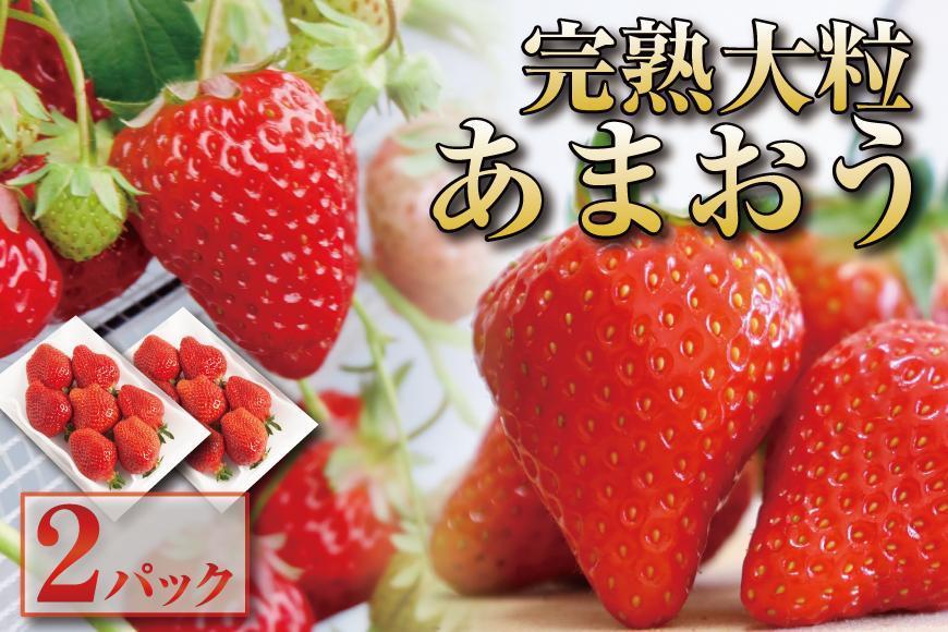 【2026年1月～3月出荷予定】完熟&nbsp;大粒&nbsp;あまおう&nbsp;イチゴ&nbsp;280g×2パック(約560g)＜配送不可：北海道、沖縄県、離島＞