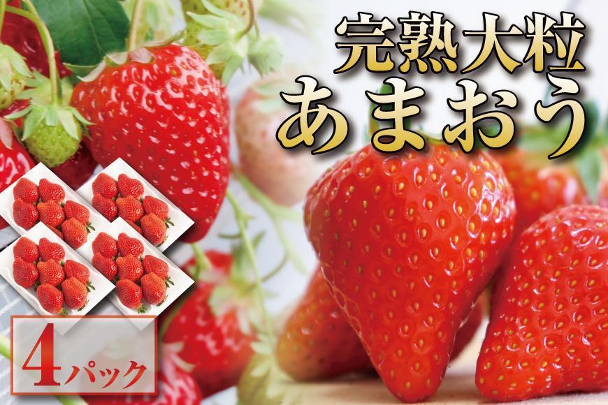 【2026年1月～3月出荷予定】完熟&nbsp;大粒&nbsp;あまおう&nbsp;イチゴ&nbsp;280g×4パック(約1120g)＜配送不可：北海道、沖縄県、離島＞