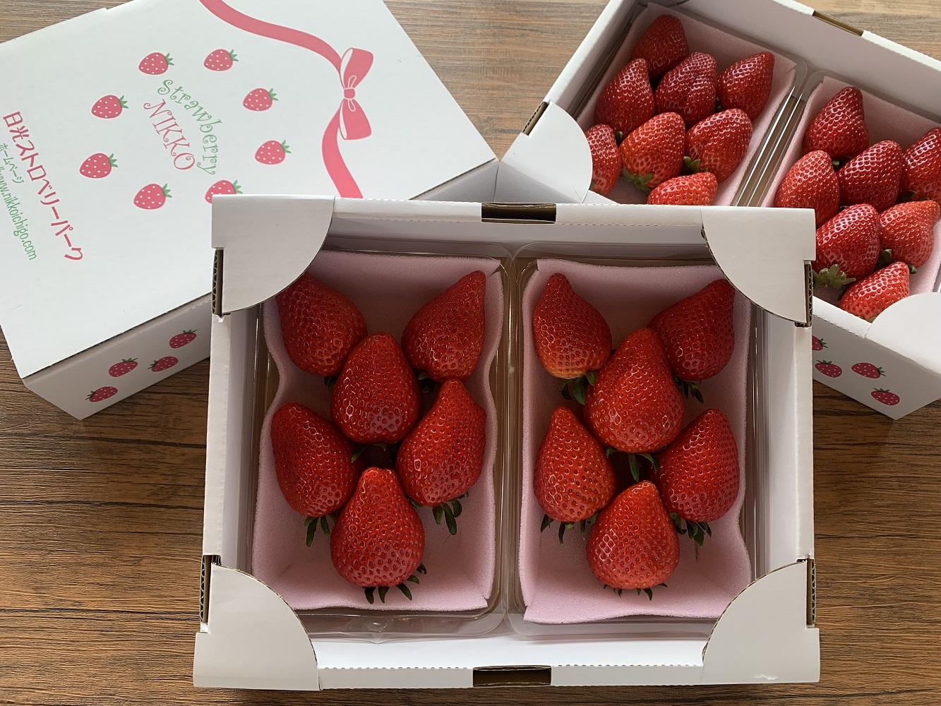 日光ストロベリーパークの『スカイベリー』 ＆『とちあいか』食べ比べセット　260g×4パック　粒の大きさお任せ（大粒～中粒厳選）　12月上旬～4月中旬まで順次発送 ｜いちご スカイベリー とちあいか 食べくらべ 日本農業賞大賞受賞・農林水産大臣賞受賞 産地直送 産直