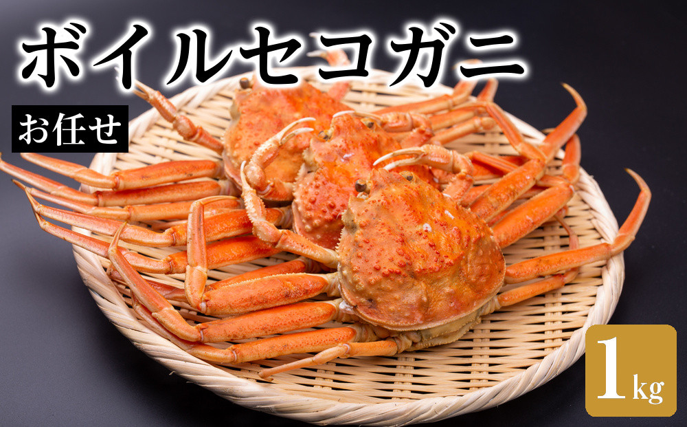 【魚倉】ボイルお任せセコガニ1kgセット｜国産&nbsp;ズワイガニ&nbsp;松葉ガニ&nbsp;カニ&nbsp;蟹&nbsp;かに&nbsp;ボイル&nbsp;カニ鍋&nbsp;かに鍋&nbsp;鍋&nbsp;かにしゃぶ&nbsp;かにみそ&nbsp;期間限定&nbsp;送料無料&nbsp;鳥取県&nbsp;三朝町