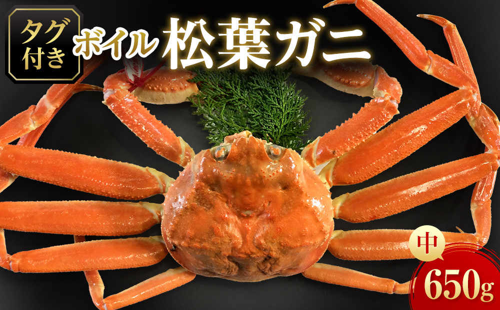 【魚倉】タグ付きボイル松葉ガニ(中650ｇ)｜国産&nbsp;タグ付き&nbsp;ズワイガニ&nbsp;松葉ガニ&nbsp;カニ&nbsp;蟹&nbsp;松葉　かに&nbsp;ボイル&nbsp;カニ鍋&nbsp;かに鍋&nbsp;鍋&nbsp;かにしゃぶ&nbsp;かにみそ&nbsp;ずわいがに　ずわい蟹　ずわい　ズワイ&nbsp;松葉がに　ボイル　蟹料理　かに料理　カニ料理　茹で　松葉　冬の味覚の王様　ボイル済　海鮮　冬の味覚　鮮度抜群　おとり寄せ　高級食材　魚介類　食べ応え　期間限定&nbsp;送料無料&nbsp;鳥取県&nbsp;三朝町