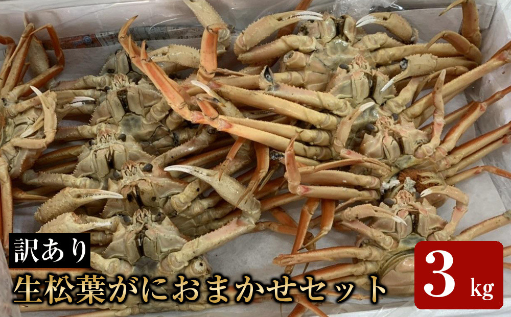 【魚倉】松葉がに&nbsp;生&nbsp;おまかせセット&nbsp;３kg訳あり｜国産&nbsp;ズワイガニ&nbsp;松葉ガニ&nbsp;カニ&nbsp;蟹&nbsp;かに&nbsp;生&nbsp;カニ鍋&nbsp;かに鍋&nbsp;鍋&nbsp;かにしゃぶ&nbsp;かにみそ&nbsp;期間限定&nbsp;送料無料&nbsp;鳥取県&nbsp;三朝町