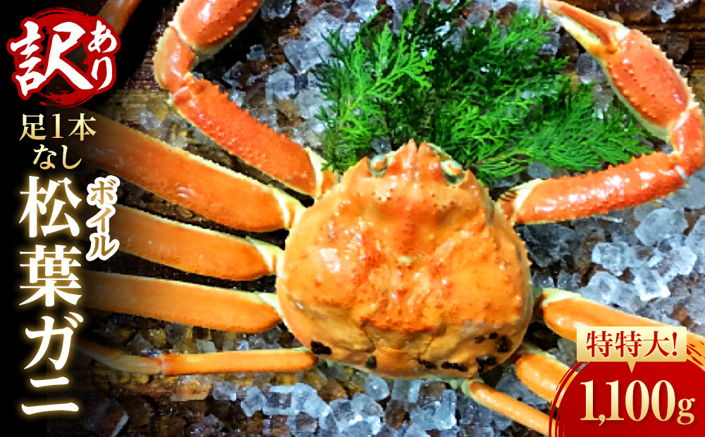 【魚倉】足１本なしボイル松葉ガニ(特特大1,100ｇ)訳あり｜国産&nbsp;訳あり&nbsp;ズワイガニ&nbsp;松葉ガニ&nbsp;カニ&nbsp;蟹&nbsp;かに&nbsp;ボイル&nbsp;カニ鍋&nbsp;かに鍋&nbsp;鍋&nbsp;かにしゃぶ&nbsp;かにみそ&nbsp;期間限定&nbsp;送料無料&nbsp;鳥取県&nbsp;三朝町